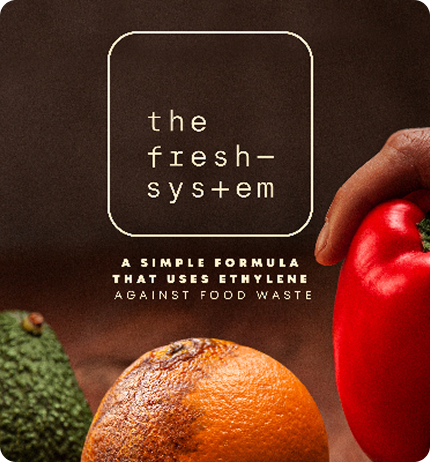 imagen fresh sistem