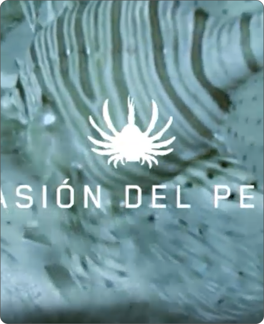 imagen proyecto