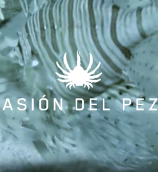 imagen proyecto